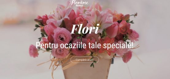 Florarie Radauti, Atelierul de flori, Magic Flora, Aquarelle
