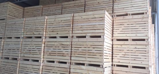 Elpidex trading – producator ambalaje din lemn, boxpaleti